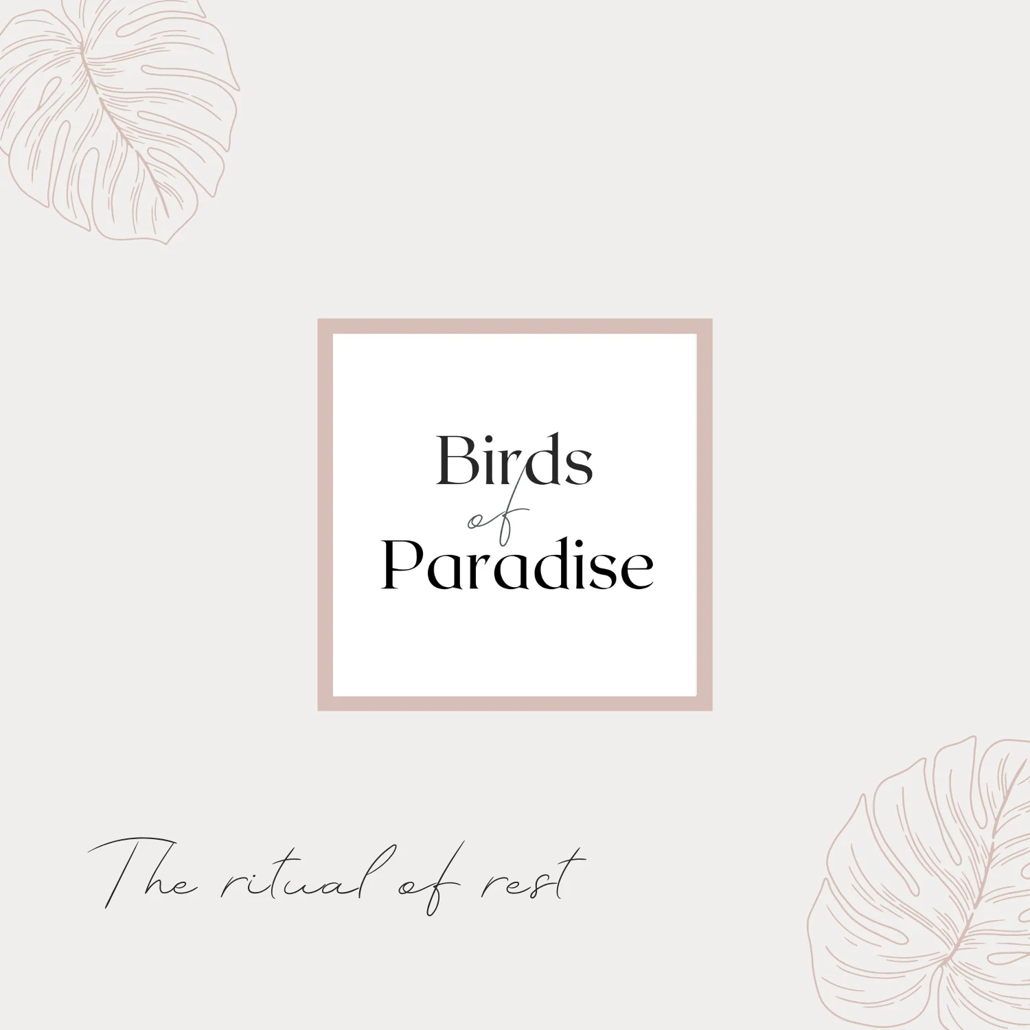 Ellesmere Lingerie